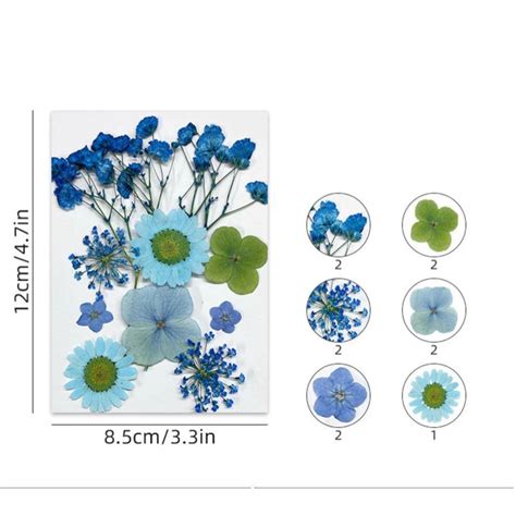 Dry flower – insane craft supplies