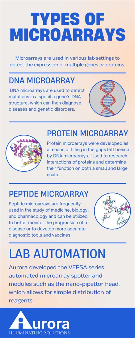 Image result for Microarray Types