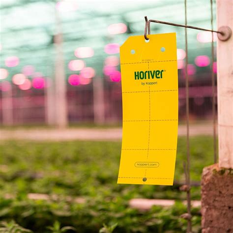 Horiver Wetstick | Trap and Monitor Flying Insects | Sticky Trap