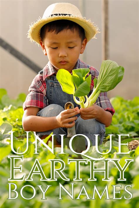 300+ Unique Earthy Boy Names for Nature Lovers - Tinytruimphs