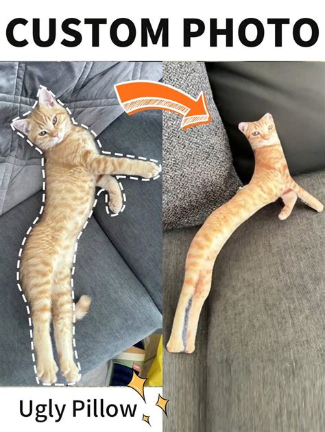 1pc Bestselling Funny Ugly Cat/Dog Shaped Pillow | Customized 3D Pet ...