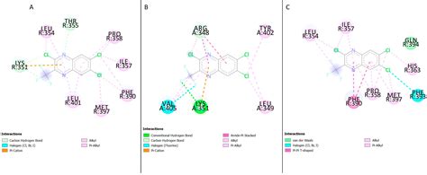 In Silico Ligand Docking Approaches to Characterise the Binding of ...