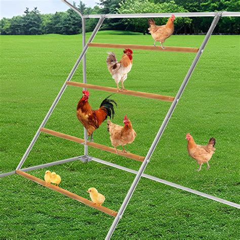 Chicken Coop Roosting Perch Essentials, Chicken Roosting Bars Suitable ...