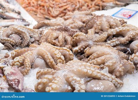 Fresh Raw Octopuses Lying on Ice Counter at Seafood Market in Athens, Greece. Open Shelf with ...