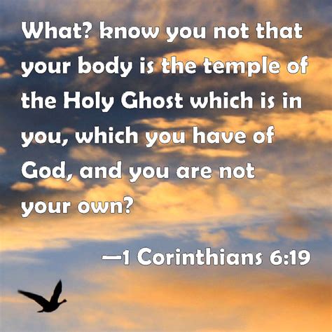 1 Corinthians 6:19 What? know you not that your body is the temple of ...