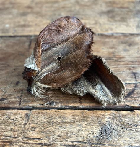 Cow Ears - with Hair – The Hairy Pig