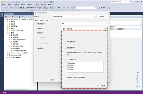 How to Start with Microsoft SQL Server Management Studio 的图像结果