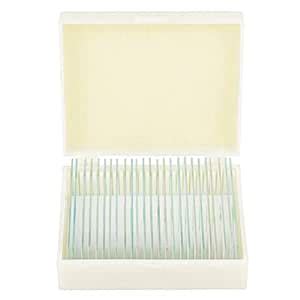 with Plastic Box Accurately Stained Microscope Slide, Machine Cleaned ...