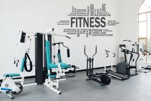 DICTON HUB ASIAN GYM DESIGN Large Removable Sticker Price in India ...