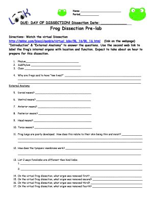Frog Dissection Worksheet - Miami Killian High School - Fill and Sign ...