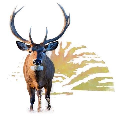 Python Buck 的图像结果