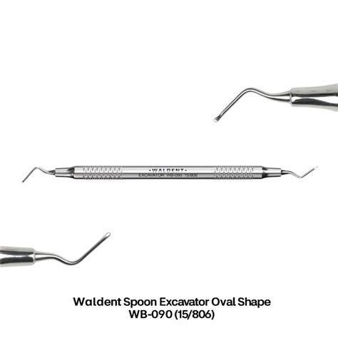 Waldent Spoon Excavators Oval Shape – Waldent.com