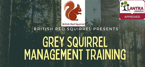 Grey Squirrel Management Training - Pentillie Castle Estate PL12 6QD ...