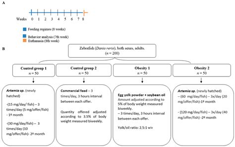 Evaluation of the Effects of Diet-Induced Obesity in Zebrafish (Danio rerio): A Comparative Study