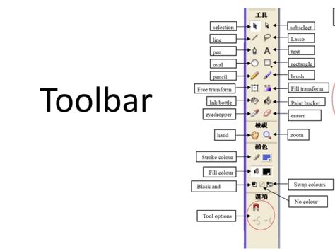 Image result for Adobe Flash Tutorial