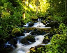 Wallpaper Hd by 1280x1024 Hd Wallpapers Wallpaper Cave Wallpaper Hd