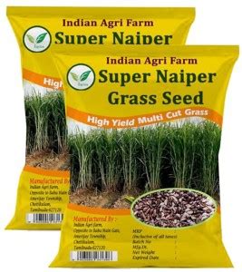 IAgriFarm Super Napier Grass Seed - 2 Kg - High Yield Perennial ...