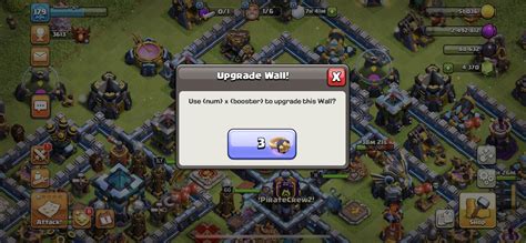 Coding Bug 的图像结果