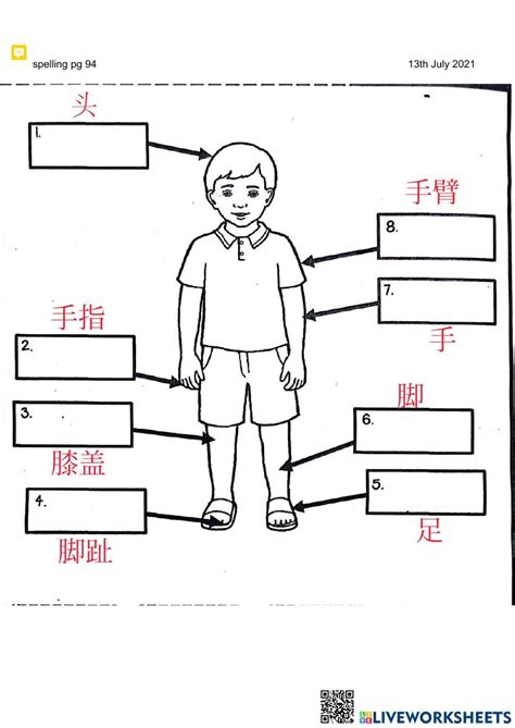 Robot Reflection Worksheet 的图像结果