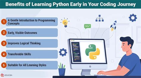 Why Learn Python 的图像结果