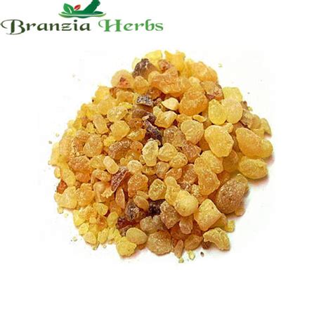 Katira Gum - Tragacanth - Almond Gond - Astragalus Gummifer – Branzia Herbs