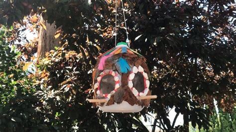 Animal Science Experiments 的图像结果