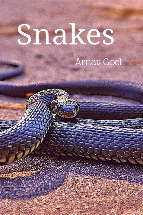 Snakes : Arnav Goel: Amazon.in: Books