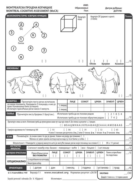 MOCA Test Examples 的图像结果