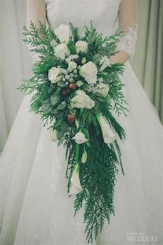 costo fiori nebbiolina fiore costo mb77 187 regardsdefemmes costo fiori nebbiolina fiore costo mb77 187 regardsdefemmes