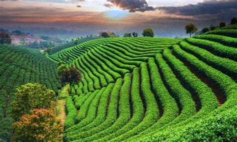 Image result for HTML DataGrid