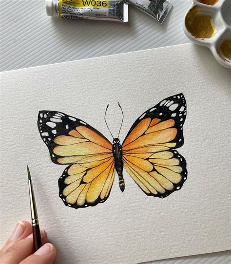 Image result for Butterfly Painting Tutorial