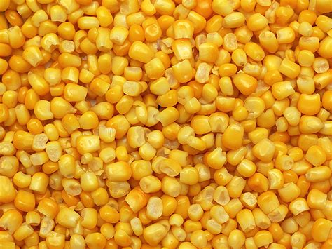 Freeze Dried Sweet Corn,Freeze Dry Sweet Corn Suppliers