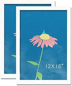 AbhiKalpya Art Studio 12”x18” Inch Photo Frame A3 Size Photo Frame ...