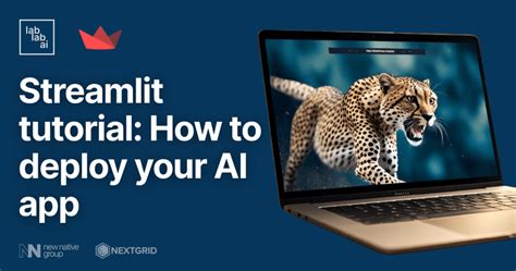 Image result for Streamlit Tutorial App Tutorial