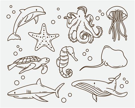 Ocean Animals Drawings