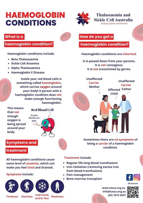Image result for Haemoglobin Disorders
