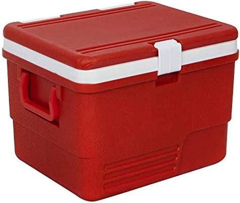 Buy Praxon Insulated Plastic Chiller Ice Box - Space Saving Ice-Storage ...