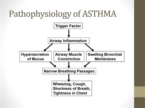 Respiratory system pharmacology | PPTX