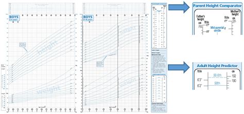 Managing expectations in the child of short stature with no underlying ...