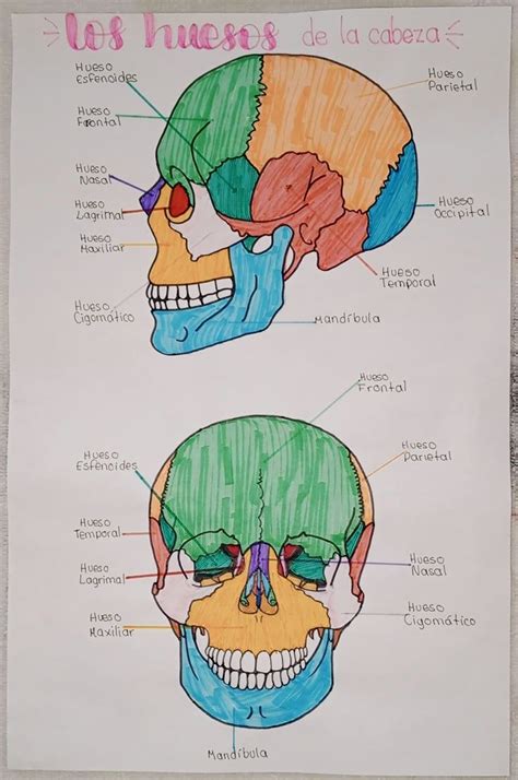 Image result for Example of Learning Program in School