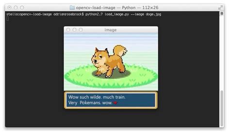 Image result for How to Load Image in Python