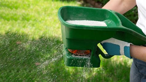 How to Plan Your Lawn Fertilization