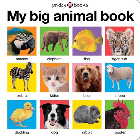 My Big Animal Book - Board Book | Priddy Books – Krazy Caterpillar