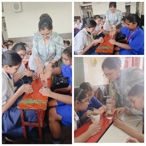 Class 6th Science Activity- How plants absorb water- with roots and ...