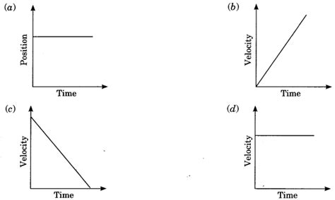 CBSE Class 9 Science - MCQ and Online Tests - Physics - Unit 1 - Motion ...