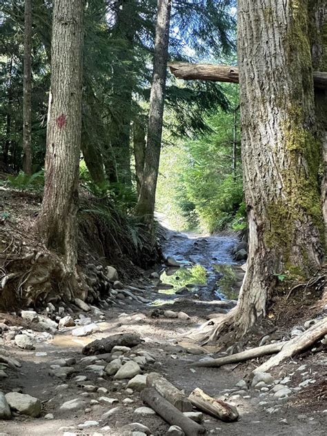 Sunrise Trail, Washington - GPS Trail Map, Conditions & Difficulty ...