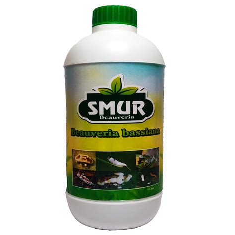 Beauveria Bassiana Bio Pesticide | Beauveria Liquid | Beauveria ...