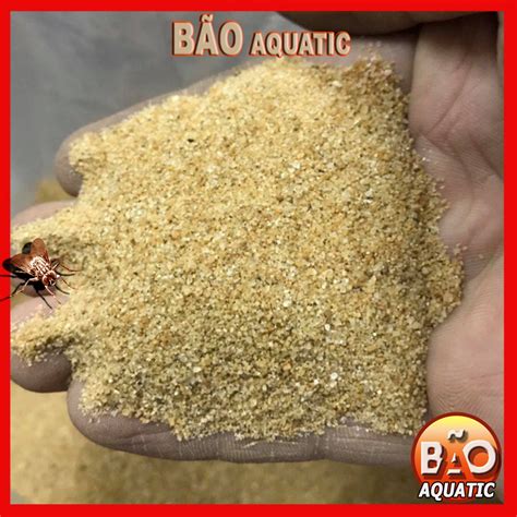 Yellow sunshine sand type 1 for fish tank floor 1kg | Shopee Malaysia