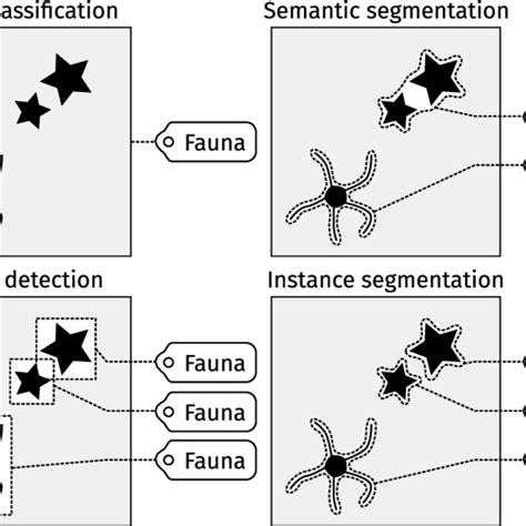 Computer Vision Classification Example 的图像结果