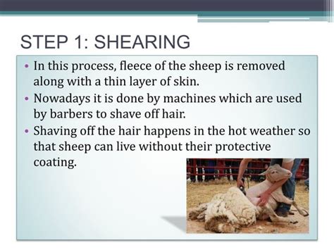 Image result for Processing of Wool Class 7